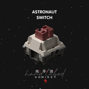 Astronaut Linear Switch